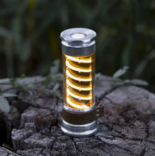 Load image into Gallery viewer, Barebones Living Edison Light Stick