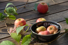 Load image into Gallery viewer, Petromax Dinner Enamel Bowl (Set of 2)