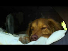 Load and play video in Gallery viewer, Claymore F21 Circulator Fan