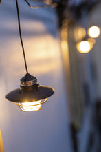 Load image into Gallery viewer, Barebones Living Edison Pendant Light