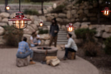 Load image into Gallery viewer, Barebones Living Edison String Lights