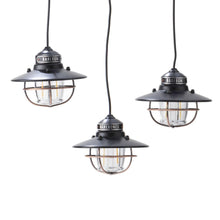 Load image into Gallery viewer, Barebones Living Edison String Lights