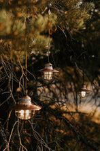 Load image into Gallery viewer, Barebones Living Edison String Lights
